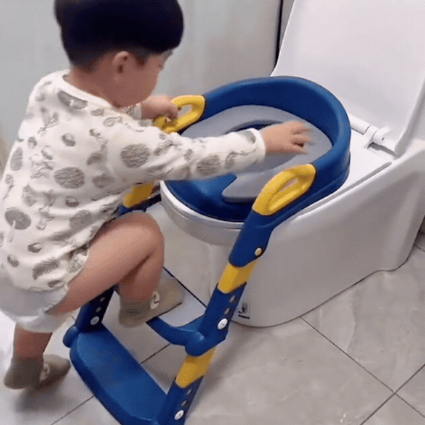 Kids Ladder Potty